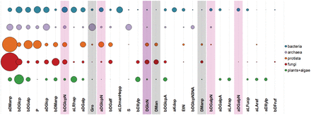 Thirty most widespread monomeric residues in carbohydrate structures from major taxonomic groups. Bubble area corresponds to averaged monomer frequency in the domain (see text), varying from 9.7 (aDManp, α-D-mannopyranose) to 0.12 (bDFruf, β-D-fructofuranose). Amino sugar residues include both acetylated and non-acetylated forms and are highlighted in lilac; undetermined residues with unknown anomeric, absolute or ring size configuration are shaded.