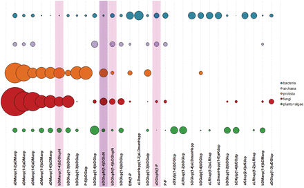 Thirty most widespread dimers in carbohydrate structures from major taxonomic groups. Bubble area corresponds to disaccharide frequency in the domain (see text), varying from 3.15 (aDManp(1-2)aDManp) to 0.09 (aDGlcp(1-3)aDGlcp). Dimers containing amino sugars, which include both acetylated and non-acetylated forms, are highlighted in lilac; dimers containing undetermined residues with unknown anomeric or ring size configuration are shaded.
