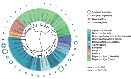 Glycome-based clustering of most studied genera. Shades of blue represent various bacterial taxonomic groups, shades of green represent plant groups, red and orange represent fungi and protista domains, respectively. The outer arc for bacteria is colored according to the Gram-reaction. Size of the circles reflects the normalized popularity of a given genus in CSDB in terms of assigned organisms (green) and assigned structures (blue). When a blue circle is not visible, it is the same size as a green one. Color of labels denotes the database from which the data came.