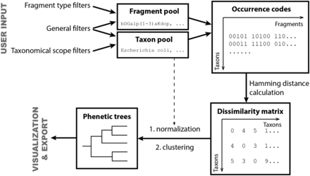 Flow chart of data processing in the reported online tool.