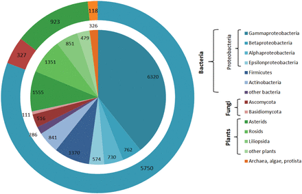 CSDB coverage by structures and organisms. Absolute numbers of structures/organisms are provided for every domain/phylum/class. The inner diagram shows distribution of structures among domains split into lower ranks; the outer ring shows distribution of organisms among domains. The following color code is used: blue shades, bacteria; red shades, fungi; green shades, plants; orange, archaea, algae and protista.