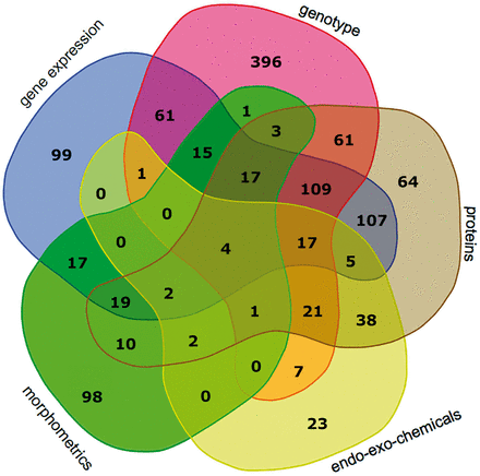  Venn diagram showing the number of patients with data points from different combinations of experimental data categories. These categories include gene_expression, genotype, proteins, endo_eco_chemicals (drugs, endotoxins, glycosaminoglycans and steroids) and morphometrics. The data category other was excluded, because the Venn diagram can depict five categories at most; the category other had few data points. The Venn diagram tool is available at http://bioinformatics.psb.ugent.be/webtools/Venn/ . 
