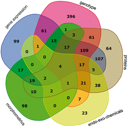 Venn diagram showing the number of patients with data points from different combinations of experimental data categories. These categories include gene_expression, genotype, proteins, endo_eco_chemicals (drugs, endotoxins, glycosaminoglycans and steroids) and morphometrics. The data category other was excluded, because the Venn diagram can depict five categories at most; the category other had few data points. The Venn diagram tool is available at http://bioinformatics.psb.ugent.be/webtools/Venn/ .