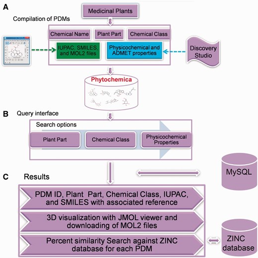 Schematic representation of overall strategy used in the Phytochemica construction.