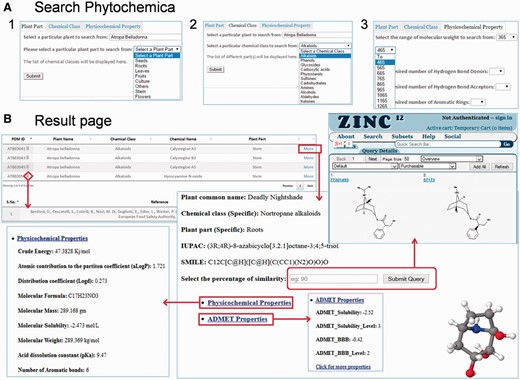  Features of Pytochemica interface. ( A ) Demonstration of accessible search options: ( 1 ) plant part, ( 2 ) Chemical class as well as plant part and ( 3 ) physicochemical properties based search of PDMs. ( B ) Result of input query with list of associated PDMs that further provides information of IUPAC, SMILES, physicochemical properties and 3D visualization with associated references. User can download mol2 file of selected PDM. Similarity search of selected PDM against ZINC is also available at user-defined cut-off. 