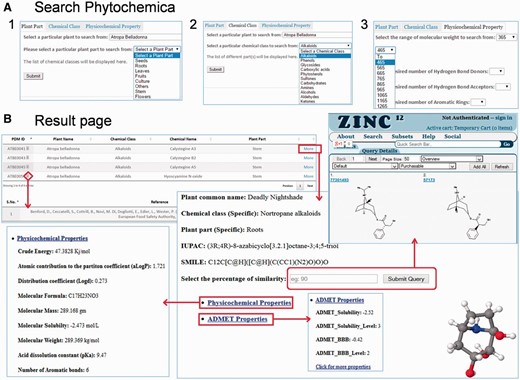 Features of Pytochemica interface. ( A ) Demonstration of accessible search options: ( 1 ) plant part, ( 2 ) Chemical class as well as plant part and ( 3 ) physicochemical properties based search of PDMs. ( B ) Result of input query with list of associated PDMs that further provides information of IUPAC, SMILES, physicochemical properties and 3D visualization with associated references. User can download mol2 file of selected PDM. Similarity search of selected PDM against ZINC is also available at user-defined cut-off.