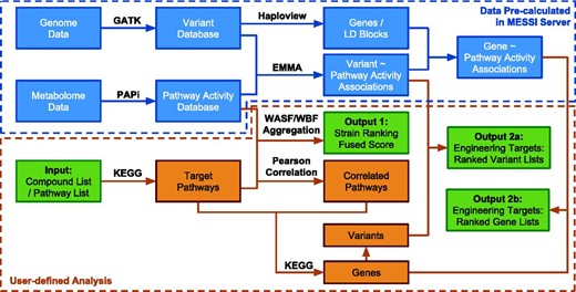The computational pipeline of the MESSI server. Green boxes represent inputs and outputs. Data inside the blue dotted box have been pre-calculated from the exsisting database (DB01_SC_21) on the MESSI server. Steps inside the orange dotted box are user defined analysis.