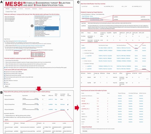 The interface of MESSI and the workflow of running a task. ( A ) Create a new task by the following steps: name a job, select a strain database, input target pathway list or compound list, and set the parameters on the potential metabolic engineering targets identification and variant calling. ( B ) Set the pathway expectations and weights and choose an aggregation algrithm. ( C ) Check for the results, including job information, best strains, metabolic engineering targets (gene-level and variant-level, respectively), fused score, ranking and variant list of each strain.