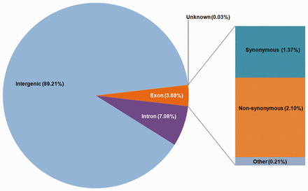 Distribution of variations on the basis of the genomic locations.