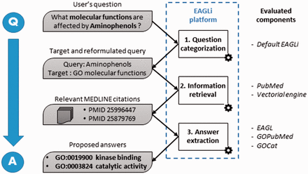 Overall workflow of the EAGLi platform. The input is a question formulated in natural language, the output is a set of candidate answers extracted from a set of retrieved MEDLINE abstracts.