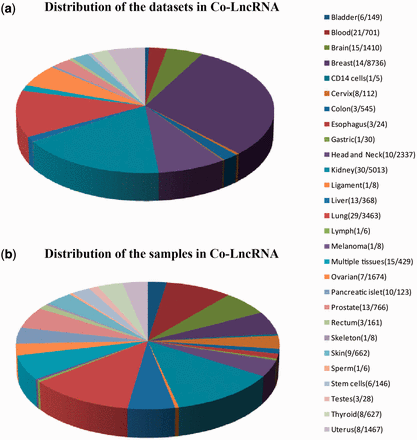  Statistics of datasets and samples used in Co-LncRNA. Distribution of ( a ) the datasets and ( b ) the samples. The two numbers behind the tissue type/cell line names represent the dataset sizes and sample sizes, respectively. 