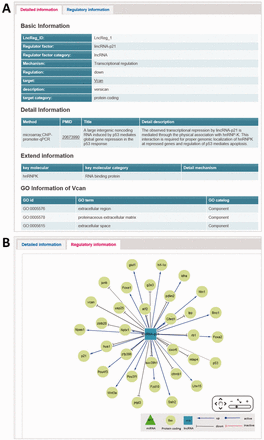  The main page of regulatory relationship entry. ( A ) The detailed information tab of main page. ( B ) The regulatory information tab of main page: representing the lncRNA-related regulatory network. 