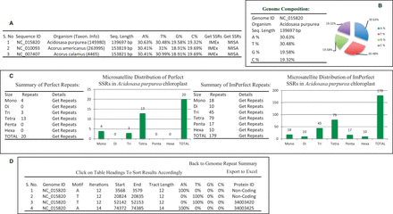 Webpage of ChloroMitoSSRDB 2.00 describing repeat summary of Acidosasa purpurea chloroplast extracted from IMEx. ( A ) Details of chloroplast microsatellites. ( B ) Repeat summary of Acidosasa purpurea chloroplast repeat extracted by IMEx and nucleotide composition of Acidosasa purpurea chloroplast. ( C ) Summary of perfect and imperfect repeats in Acidosasa purpurea chloroplast along with graphical distribution. ( D ) Mono-nucleotide perfect repeats of Acidosasa purpurea chloroplast where coding repeats in Protein ID column are linked to NCBI.