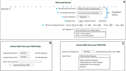  Advanced search and SSR extraction options in ChloroMitoSSRDB. ( A ) Advanced search page. ( B ) Page providing facility to extract SSRs from NGS Reads. ( C ) Page providing option of SSRs extraction in user-provided FASTA sequence. 