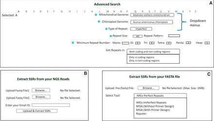 Advanced search and SSR extraction options in ChloroMitoSSRDB. ( A ) Advanced search page. ( B ) Page providing facility to extract SSRs from NGS Reads. ( C ) Page providing option of SSRs extraction in user-provided FASTA sequence.