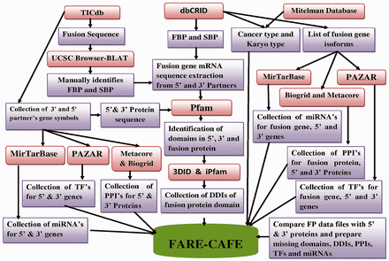 FARE-CAFE methodology workflow.