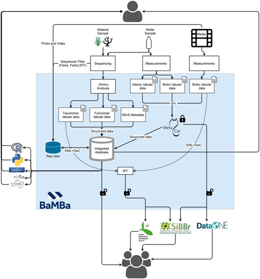  BaMBa system architecture. Media (photos and videos) and spreadsheets are uploaded into Marine Biodiversity Metacat system, which is recognized via EML to the database. ( 1 ) Users upload metadata and data (e.g. spreadsheets, FASTA files, compressed files and digital media files) using the BaMBa web interface or Morpho application; ( 2 ) the metadata (in EML format) and data uploaded by users is stored in BaMBa PostgreSQL relational database; ( 3 ) users can restrict data access or; ( 4 ) make it public. Once data is public BaMBa database automatically mirror it on other servers ( 5 ). Users can use tools like Python, R and FOCUS ( 21 , 53 , 58 ) to analyse and visualize deposited data. 
