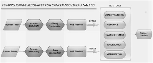 The workflow of NGS tools in cancer studies.