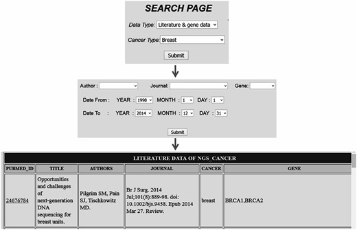 Search page accessed based on cancer type which lists all citation details with gene data for a particular cancer type.