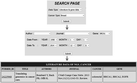 Search based on gene name which list all citation details for a particular gene in all cancer types.