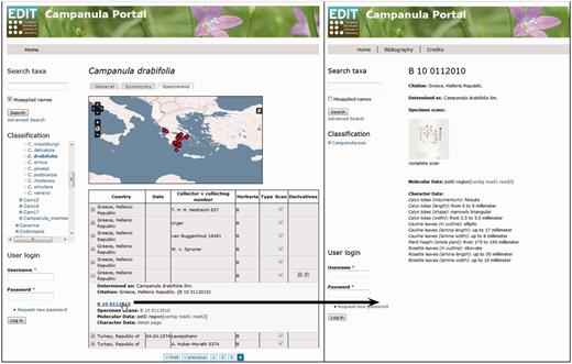 Data Portal of the EDIT Platform: screenshot of the Campanula data portal displaying the specimen tab visualizing the specimens and their derivatives available for a taxon. The Derivatives column indicates availability of additional datasets by displaying the respective icons. Clicking on a row (A) folds out the table cell and the listed items (here, specimen scan, DNA sequence contig and trace files) can be accessed by following the links given. The specimen ID functions as a link (B) to a separate specimen page where all derivatives of this specimen are clearly arranged, character datasets are provided and respective files are linked; clicking on the specimen scan thumbnail (C) opens the specimen scan in a separate browser window.
