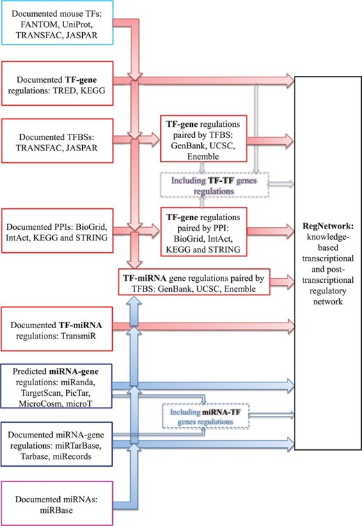 The flowchart for RegNetwork construction.