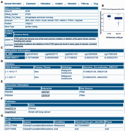 Web interface of MGDB. ( A ) General information in the MGDB. ( B ) Gene expression profile. ( C ) Gene methylation profile. ( D ) Mutation information. ( E ) Interaction information. ( F ) KEGG pathway entry. ( G ) Drugs information.