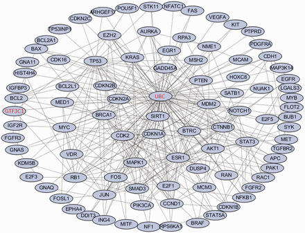 The enriched dense network module for the top ranked melanoma-related genes based on proteinprotein interaction data. The 92 genes in black are genes from the top 100 ranked melanoma-related genes. The remaining two genes in red are the linker genes that bridge the 92 genes.