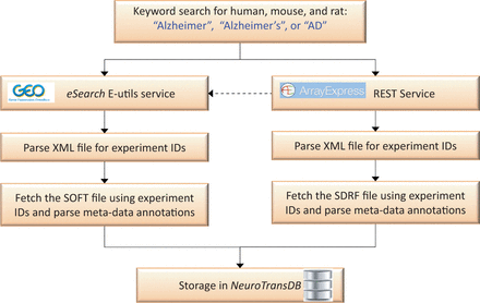 Automated data retrieval of Alzheimer’s Disease specific gene expression studies from ArrayExpress and GEO. Here, the dotted line represents the sequence of query performed. Alzheimer’s disease specific experiment IDs were automatically retrieved from GEO and ArrayExpress, using keywords, through eSearch and REST service respectively. Metadata information was extracted by automatically parsing sample information files (SDRF and SOFT) of these experiment IDs.