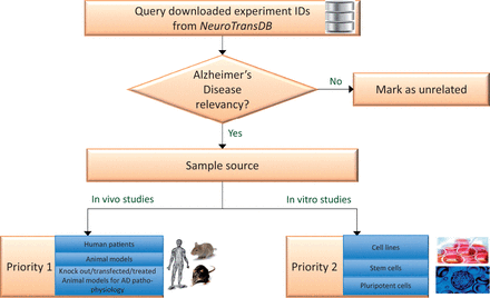 Experiment prioritization for metadata curation in NeuroTransDB .  All the downloaded Alzheimer’s Disease experiments were first checked for their disease relevancy. Those experiments which were falsely retrieved, are marked as unrelated. The remaining experiments were classified into one of two priority classes based on the experiment type: In vivo or In vitro studies. For priority 1, we considered direct/primary samples from human or animal models such as brain tissue, blood, etc. Experiments that were conducted on derived sample sources such as cell lines, were put into priority 2 class.