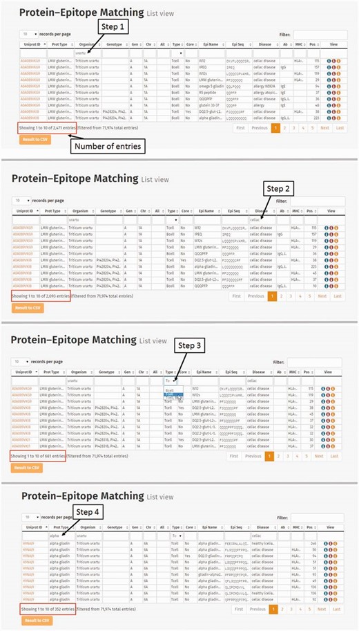 Steps of database query for the analysis of Triticum urartu alpha gliadin T-cell-specific epitopes related to celiac disease. Step 1: Selection of T. urartu protein sequences from the Protein–Epitope matching list view table. Number of entries representing prolamin protein–epitope matching records is found below the table. (Step 2) Triticum urartu protein epitope matches are screened to present only celiac disease-specific hits. (Step 3) Matching records related to T-cell-specific linear epitopes are selected from the Type column. Records representing alpha gliadin-related Protein–Epitope matching hits are narrowed down by entering alpha gliadin into the Prot Type column.