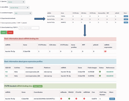 Sample output image for miRNA function section. Apart from miRNA–target regulatory relationships, MtiBase also integrates the experimental data on the relationships to assess the effects of miRNAs on transcription and translation.