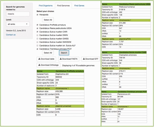 Example of the Find Genomes tab. The result of searching for the genomes associated to ‘insects' with the default ‘all ranks’ taxonomic level. First, users get a scrolling menu from which they can select genomes of interest, or all genomes available in this search, which in turn displays a table which shows the names of the organisms selected in the scrolling menu, the precise host with which the symbiotic relationship exists, as well as metrics and characteristics of their genomes. The rest of the resulting table is at the right of the figure for space limitations.