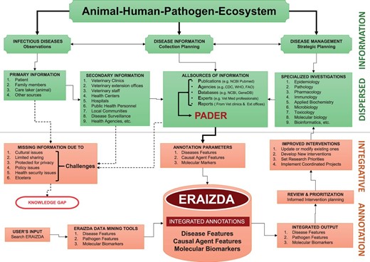 Structure depicting complete ERAIZDA model. The upper panel (green) shows part of the model depicting major key players in the disease management, planning process and sources of information. The lower panel (red) shows the disease annotation process and user interface.