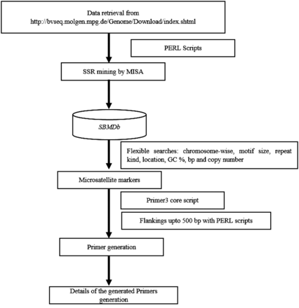 Flow of the database search.