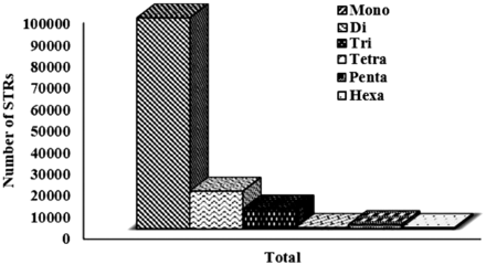 Graphical representation of motif-wise distribution of microsatellites in sugarbeet genome.