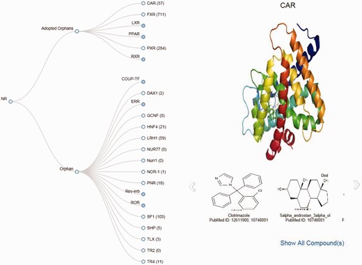 Screenshot of the Tree page displaying images of the structure of CAR and its ligands.