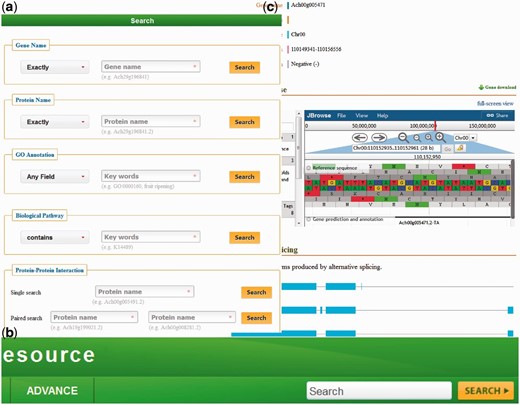 ( a ) The KIR data query interface; ( b ) the head search is provided at all pages; ( c ) the gene details view.