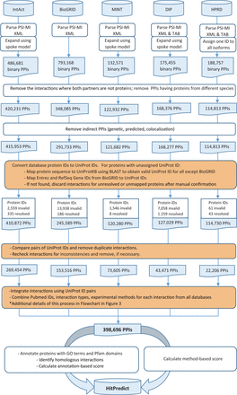 HitPredict interaction data assembly and curation (orange boxes indicate manual curation). PPIs: protein-protein interactions.