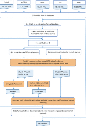 HitPredict experimental information integration and curation. This flowchart shows the process used to combine experimental information from all the source databases for all interactions (orange boxes indicate manual curation). PPIs: protein-protein interactions.