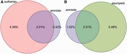 Coverage of constrained elements on the human and chicken genomes. ( A ) Overlap between the eutherian and amniote constrained elements on the human genome. The amniote elements cover a smaller portion of the genome because the 23-way amniote Mercator-Pecan alignment coverage is smaller and because elements that are conserved only in eutherian mammals might be missed when looking at all amniotes. ( B ) A similar plot for the chicken genome. Sauropsid-specific elements extracted from a 7-way sauropsid EPO alignment and the 23-way amniote Mercator-Pecan alignment are compared. In both cases, there is a fraction of the genome that is specifically detected as conserved when looking at all the amniotes. These regions are likely to be only mildly conserved and require the inclusion of more distant species to be detected.