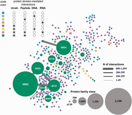 Human 3D interactome that includes RNA-, and DNA-mediated interactions. Shown is the largest connected component comprised of 39 399 protein subunits annotated into 354 SCOP protein families and mediating 26 516 protein–protein interactions and 257 protein–nucleotide interactions. The nodes correspond to protein families and are colored based on the types of interactions mediated by the proteins. Unstr corresponds to all unstructured protein subunits (C- and N-termini, and domain linkers). The numbers shown in the large nodes correspond to the SCOP IDs for those large protein families. For example, 48942 is a SCOP ID for the ‘C1 set domains (antibody constant domain-like)’ SCOP family of immunoglobulins.