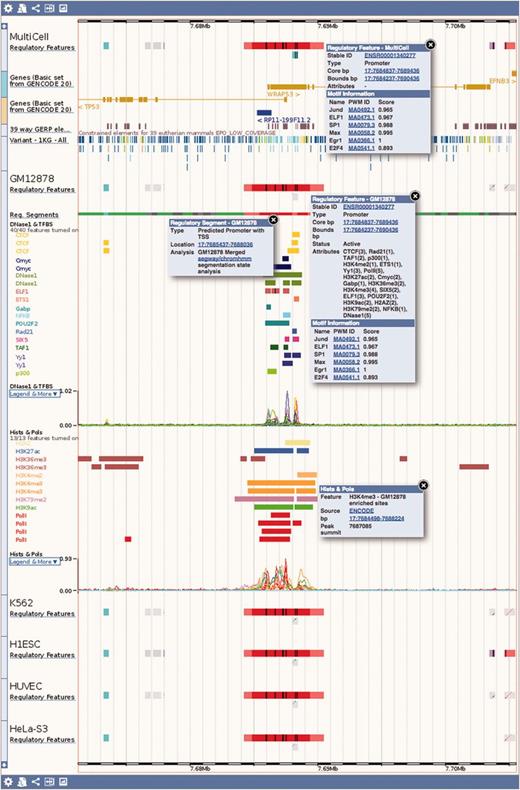 Regulation tracks. Screenshot of the ‘Region in detail’ location view, upstream of the human TP53 gene. The default ‘MultiCell’ regulatory features track is shown. Below, the regulatory features, segmentation, ‘TFBS & DNase1’ and ‘Histones and Polymerases’ tracks associated to cell type GM12878. Finally, below again, the regulatory features annotated with activity for a few other cell types. Features that are inactive in a specific cell type are greyed out. Various elements were clicked to reveal floating menus with feature specific data and links to detailed views or external resources.