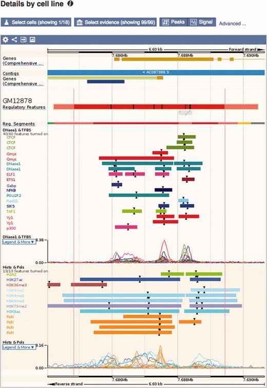 Regulatory feature ‘Details by cell line’ view. This view displays all the evidence surrounding a regulatory feature of interest, either as regions (ChIP-seq peaks) or signal functions. At the top, a solid multicolored bar represents the segmentation for the desired cell types. Note the selector buttons above the window.