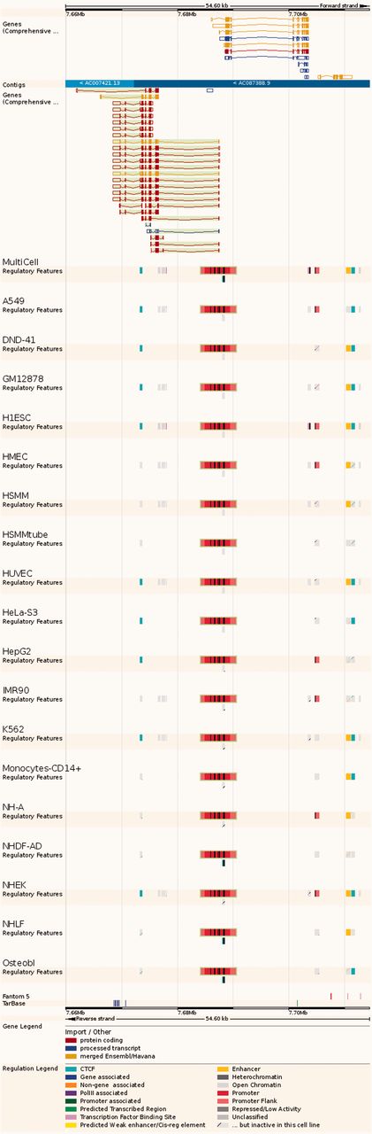 Regulatory Feature ‘Feature context view’. This view displays the general context 25 kb upstream and downstream of a feature, with genes and neighbouring elements. As in the summary view, for each cell type inactive features are greyed out, with sparse coloured lines indicating their underlying function. At the bottom, FANTOM5 elements and TarBase target regions are indicated.