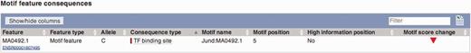 VEP output using motif feature information. Subsection of the VEP report on SNP rs694061. The VEP reports whether a SNP affects the binding affinity of a motif feature (i.e. whether position of the SNP contains at least 1.5 bits of information on the PWM).