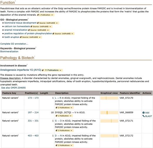 Screenshot of the ‘Function’ and ‘Pathology and Biotech’ sections of human FAM20A entry (UniProtKB Q96MK3, http://www.uniprot.org/uniprot/Q96MK3 ). 