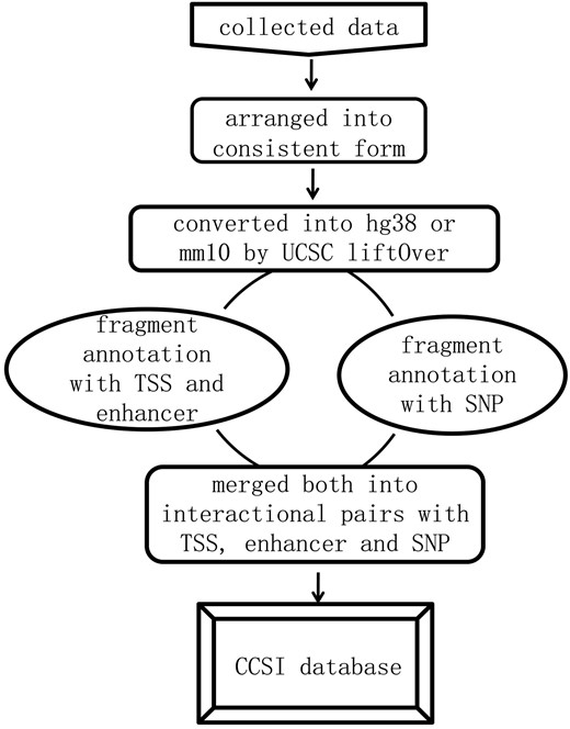 Framework of constructing CCSI database.