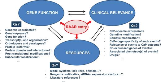 Sample of the information that RAAR provides for each of its entries. For each entry, RAAR allows cycling between information on different aspects of gene function, clinical relevance and availability of resources. Examples of representative questions (Qs) that RAAR answers are also shown.