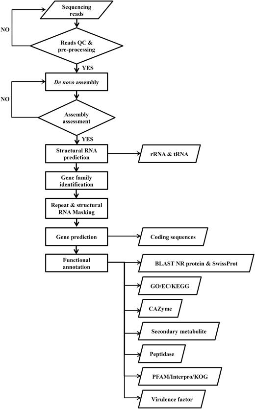 Workflow for the compilation of pipeline for all genomic data in DemaDb.